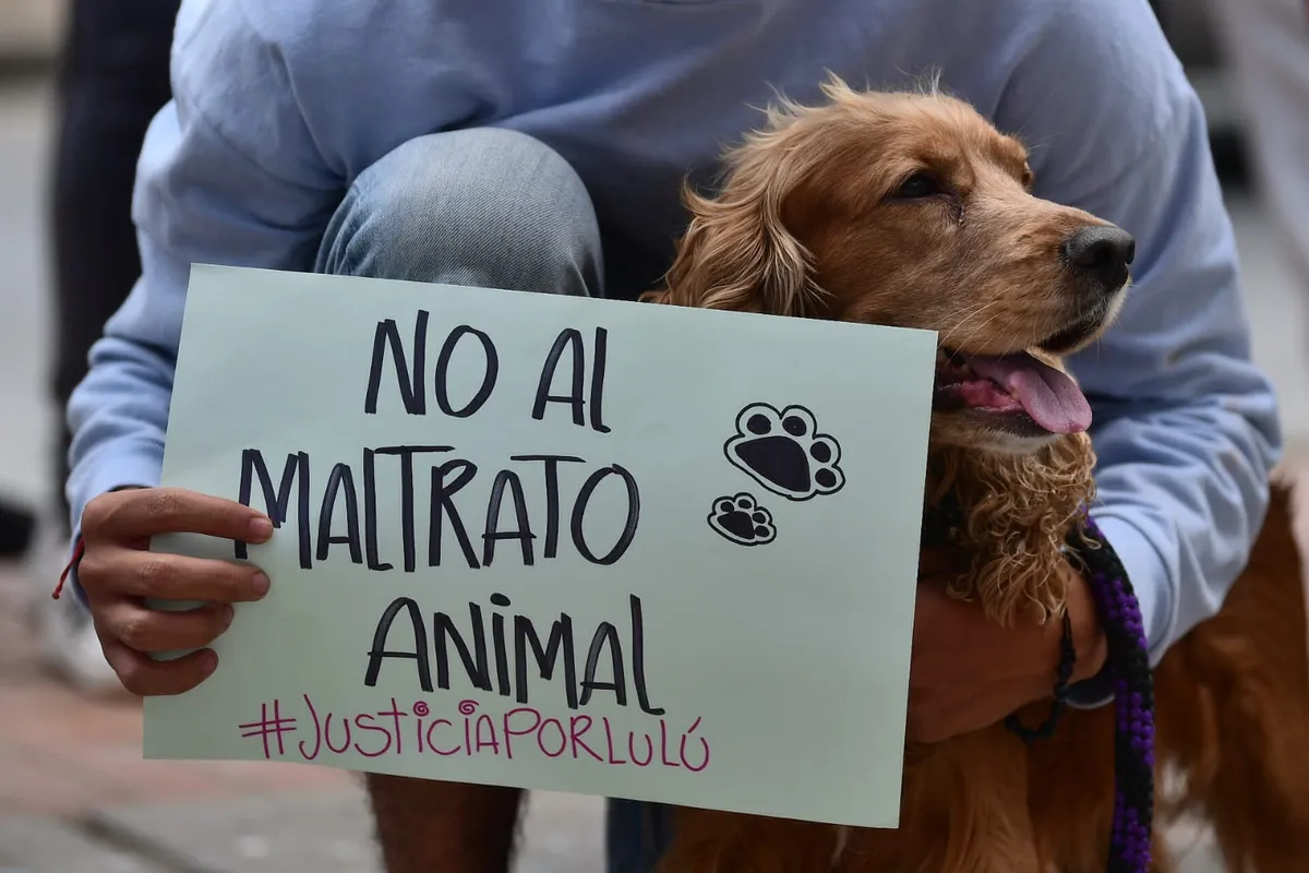 Mayor castigo al maltrato animal